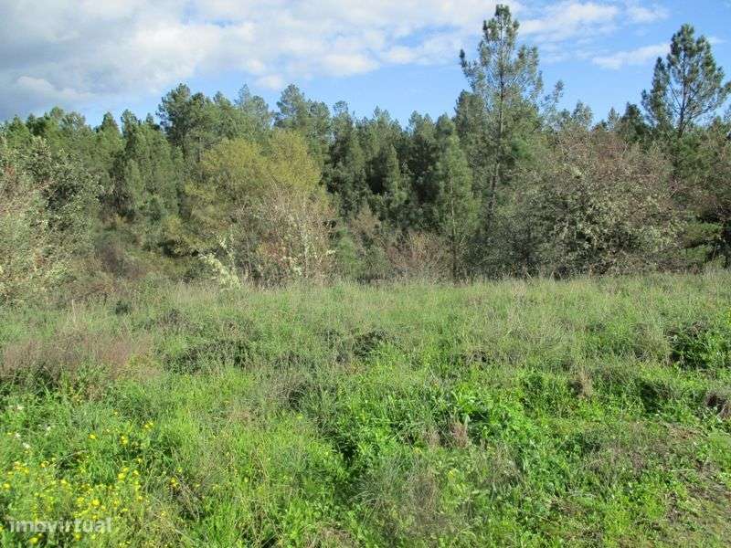 Moradia - Grande imagem: 4/9