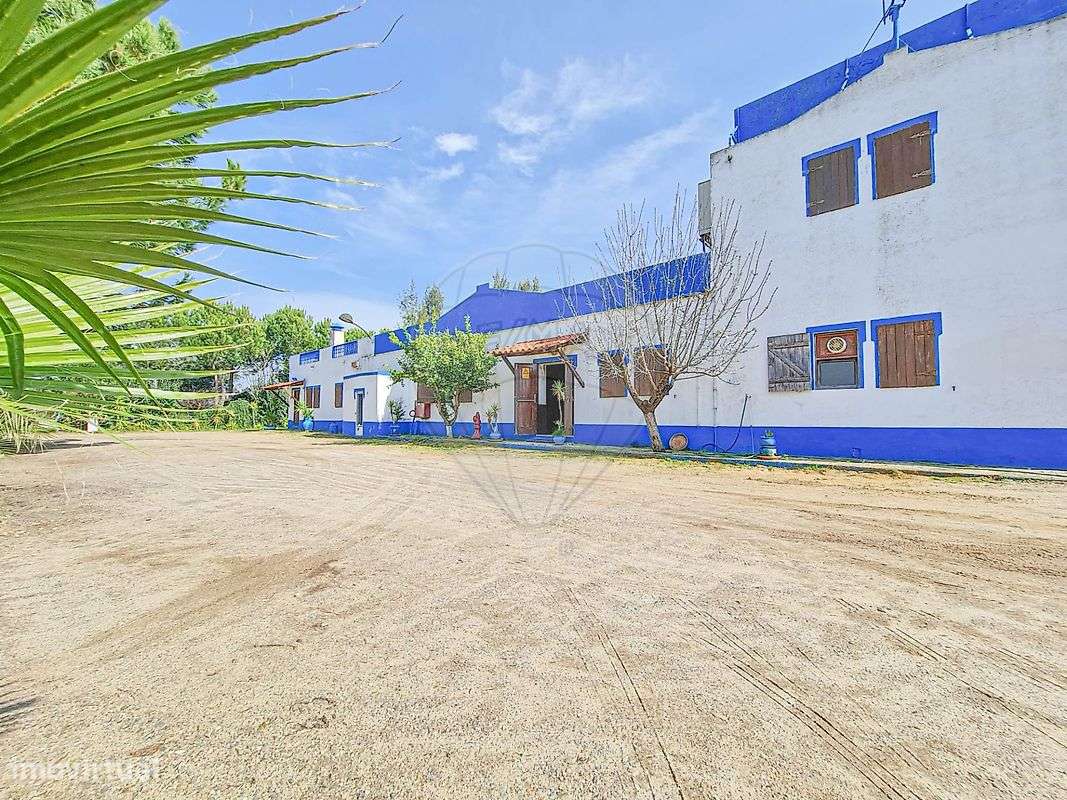 Quinta T7 para venda-12