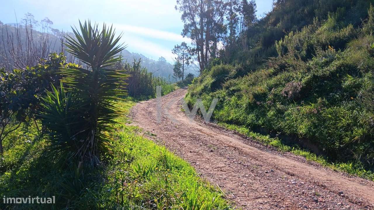 Venda Terreno em Vale Moreira, Santo Isidoro, Mafra - Grande imagem: 5/13