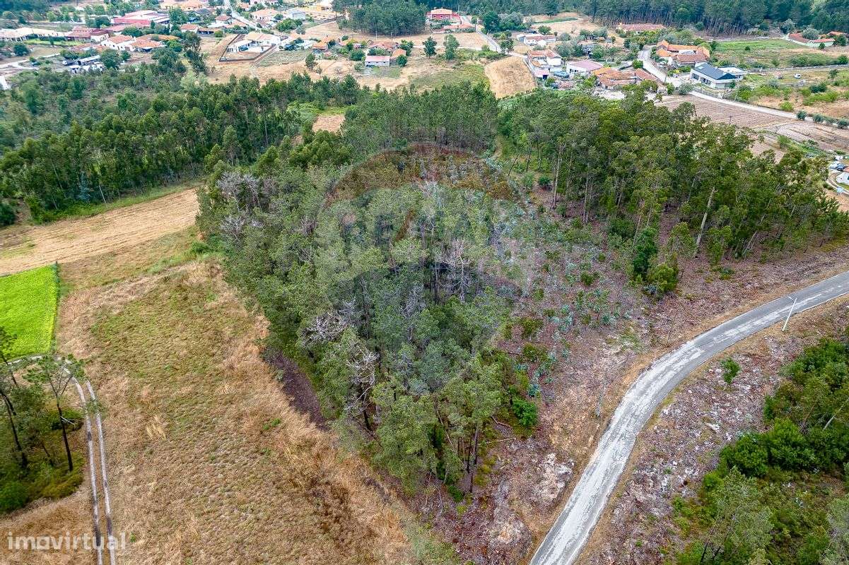 Terreno  para venda - Grande imagem: 4/10