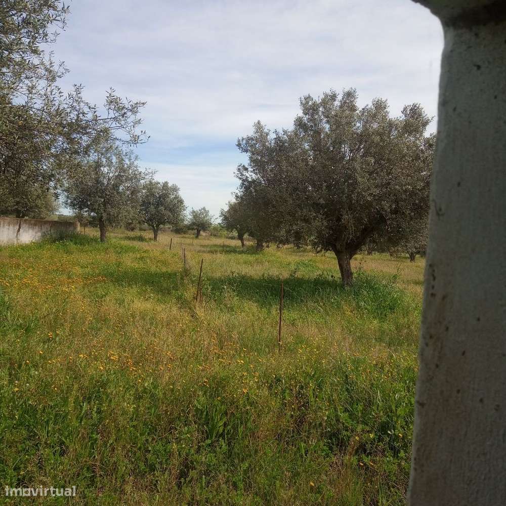 Monte Alentejano junto a Mourão-7