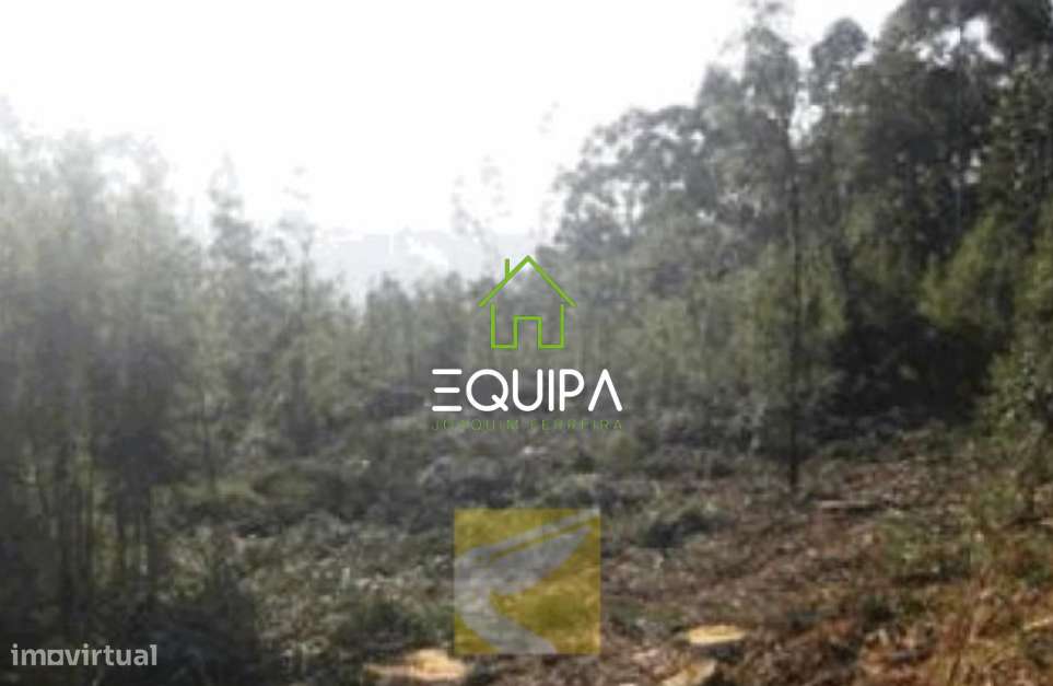 Terreno Rústico Monte Córdova- St. Tirso - Grande imagem: 4/6