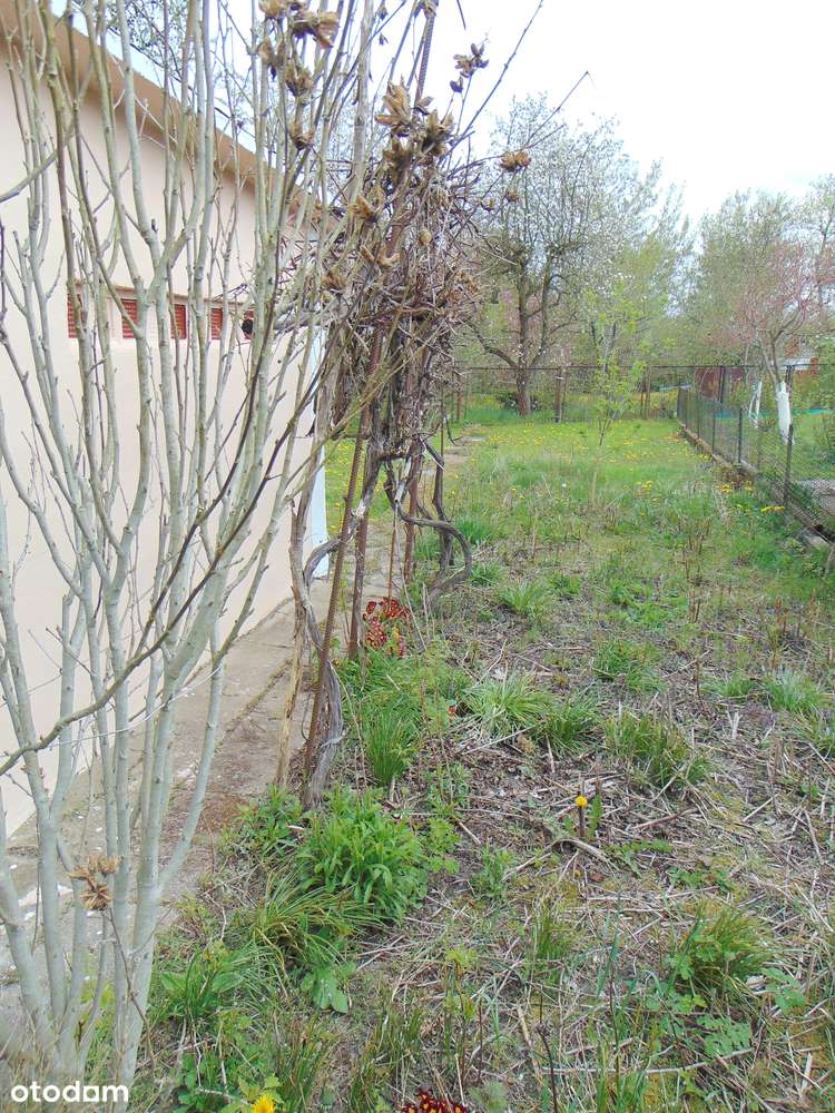 DZIAŁKA OGRODOWA ROD „MŁODOŚĆ-7