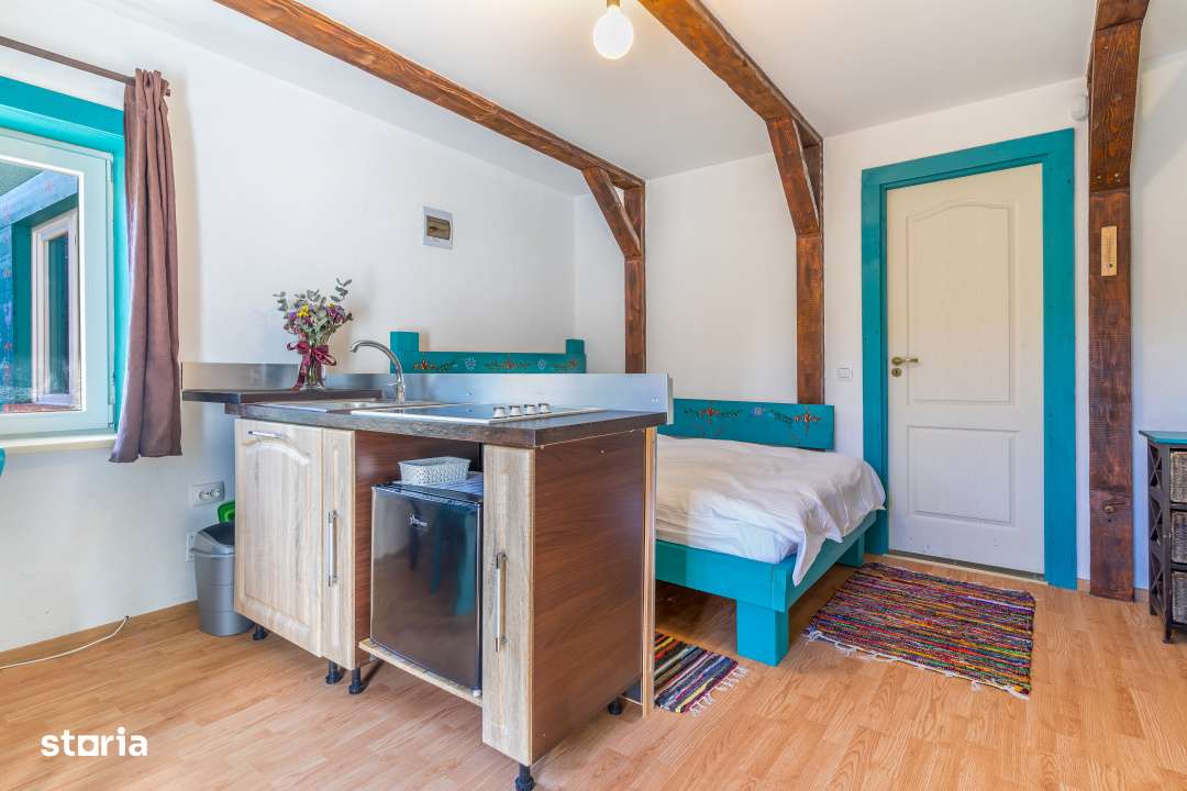 Casa de vanzare Buru - Rimetea-9