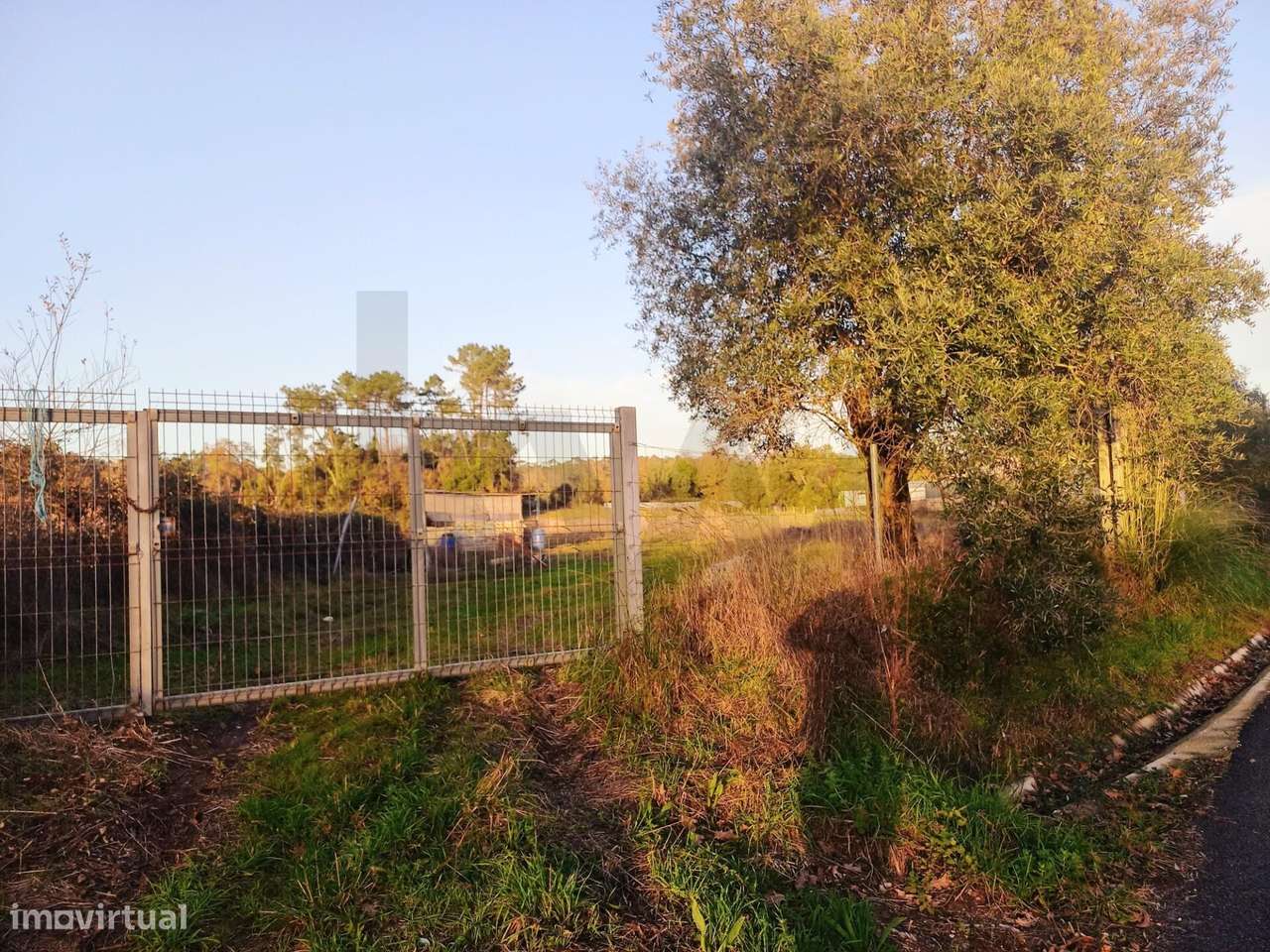 Terreno á venda em Óis da Ribeira, Águeda com 9000 m2  ideal para 14 m - Grande imagem: 5/13