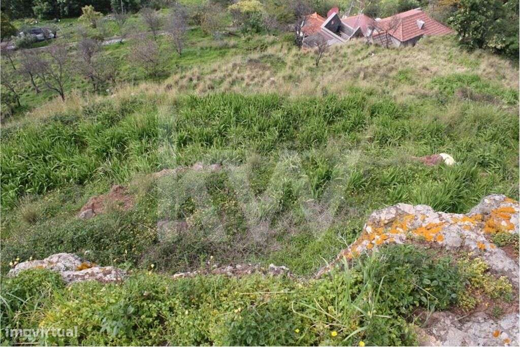 Terreno para construção situado em Gaula, Santa Cruz com 2940 m2 | Opo - Grande imagem: 4/9