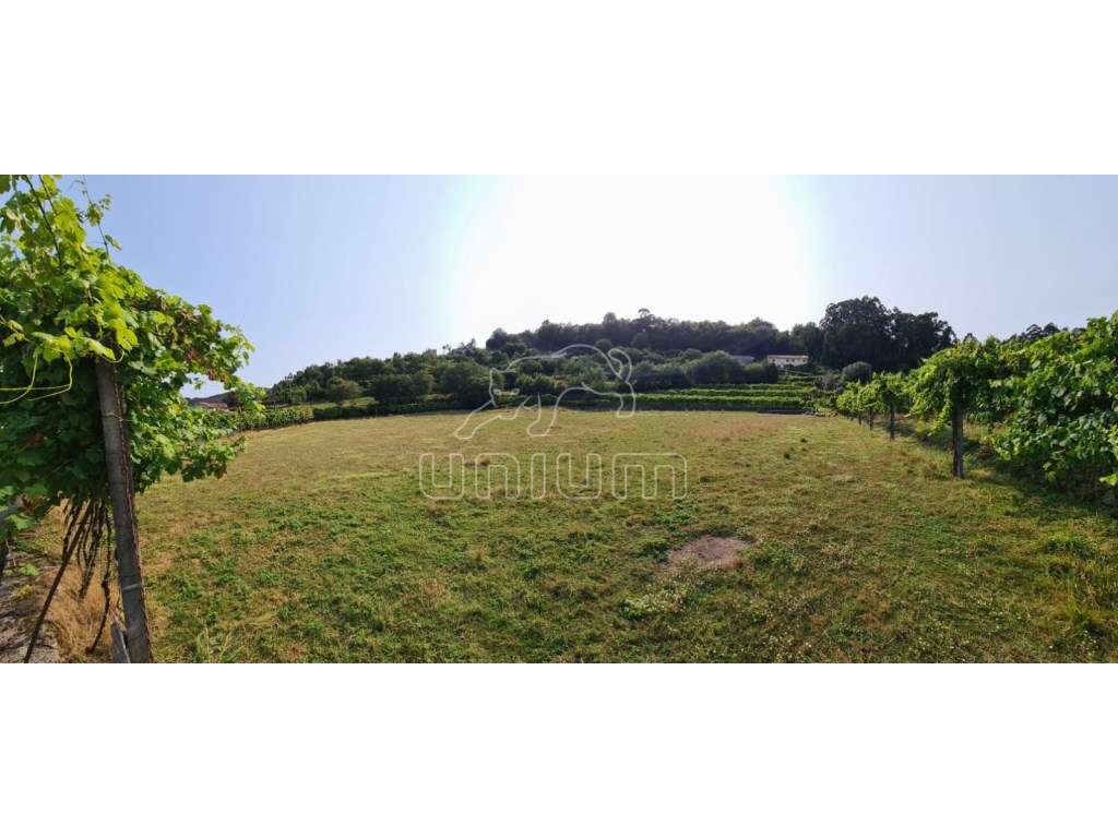 Terreno em Vade - Vila Verde - Grande imagem: 2/15