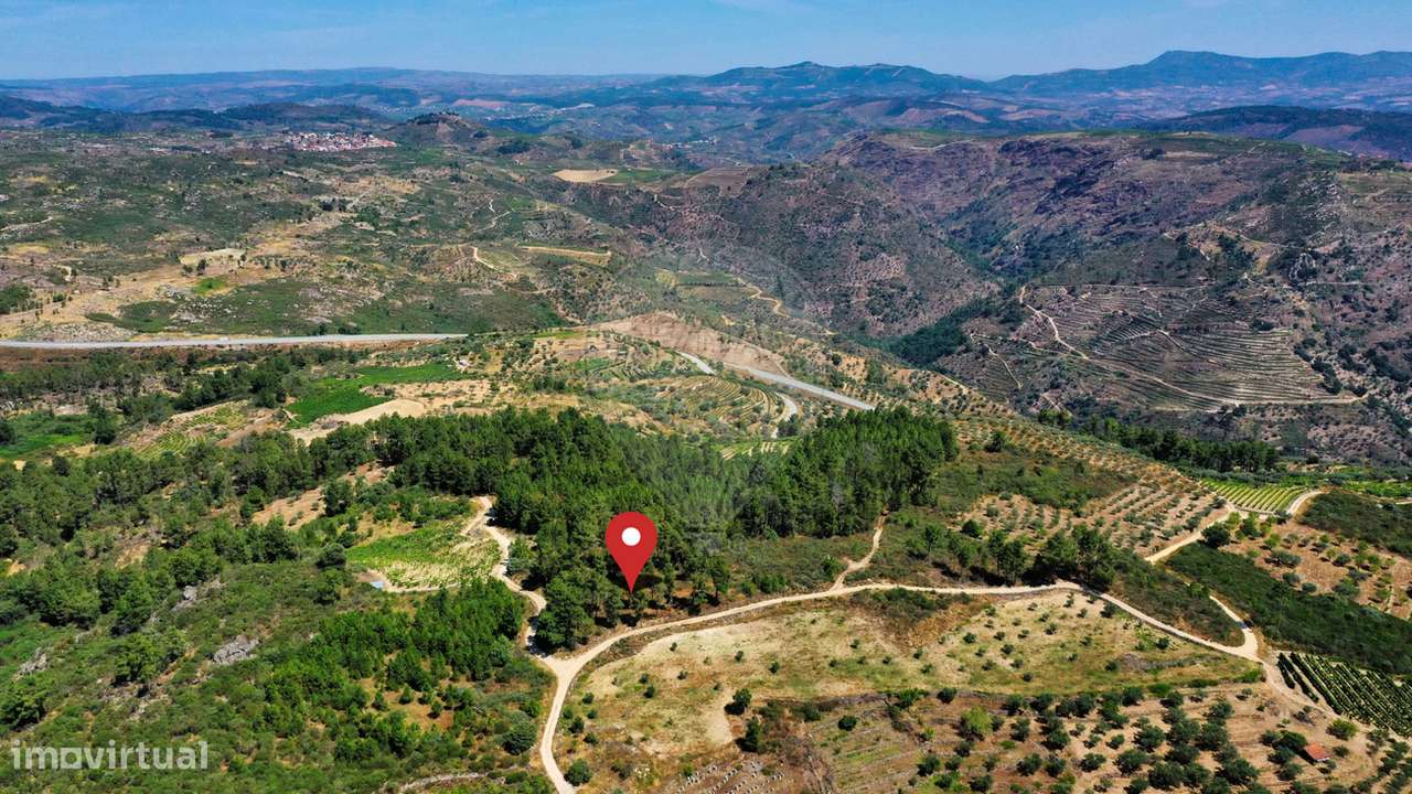 Terreno  para venda - Grande imagem: 4/5