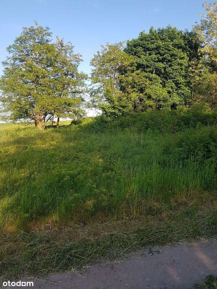 NIŻSZA CENA ! Działki z WZ, Pszczew, jezioro, las-8