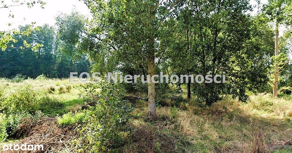 Działka, 6 165 m², Pomigacze-2