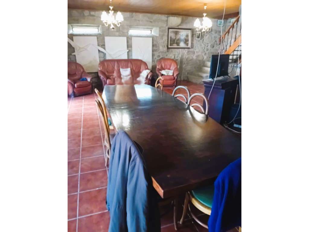 Quinta em Vila Nova de Famalicão - Gondifelos | 6.000 m² de Terreno...-41