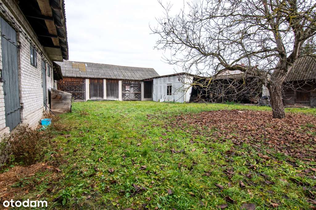 Nieruchomość z domem, gospodarstwem, lasem i polem - Pełny obrazek: 5/20