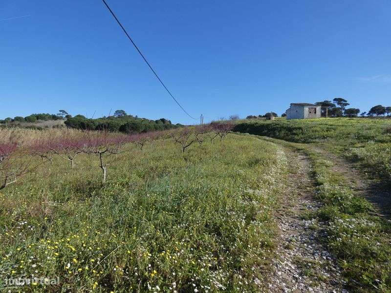 Terreno agrícola com 64562m2 com eletricidade e água! ótimos acessos! - Grande imagem: 5/43
