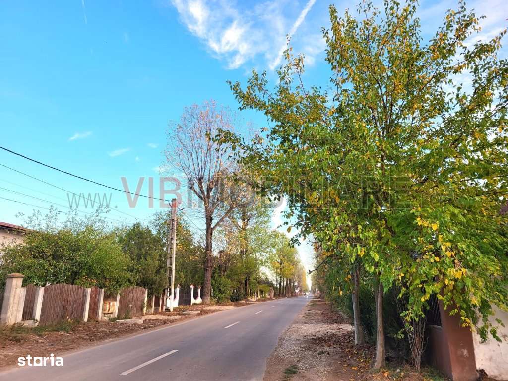 Izvorani Snagov deschidere la asfalt, toate utilitatile - Imagine principală: 4/6