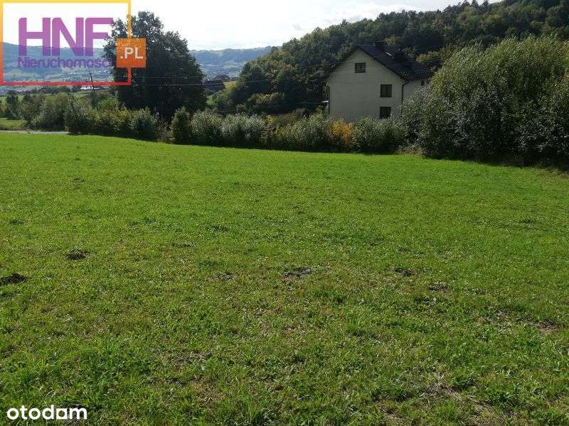 Działka 47ar w miejscowości Kłodne - Pełny obrazek: 4/9