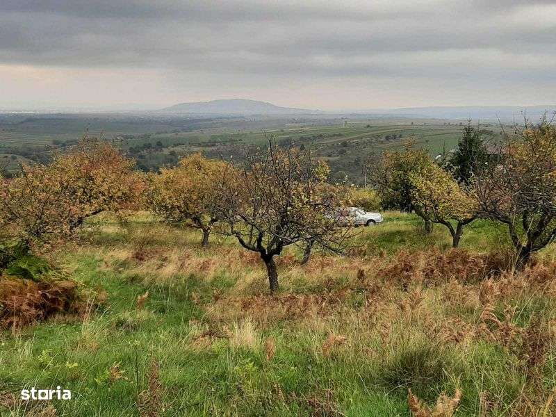 Teren 3600 mp langa Codrii de Arama Varatec Vedere Superba Intravilan - Imagine principală: 5/5