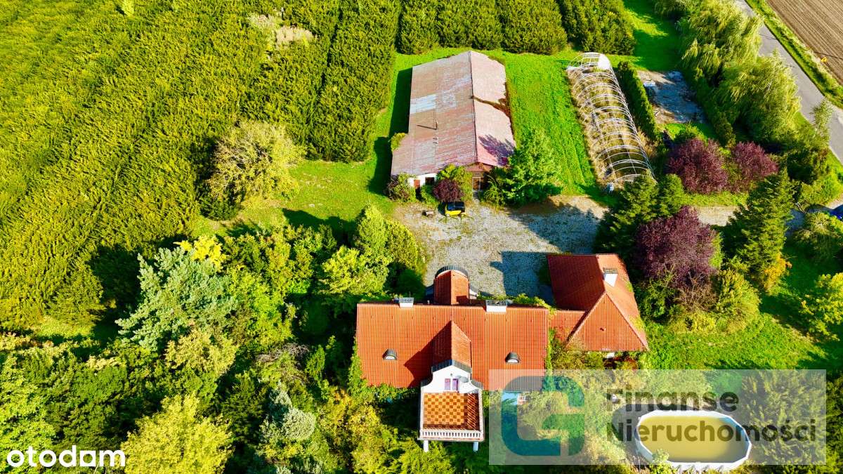 Siedlisko z budynkami – Grabów - 21 200 m² - Pełny obrazek: 5/20