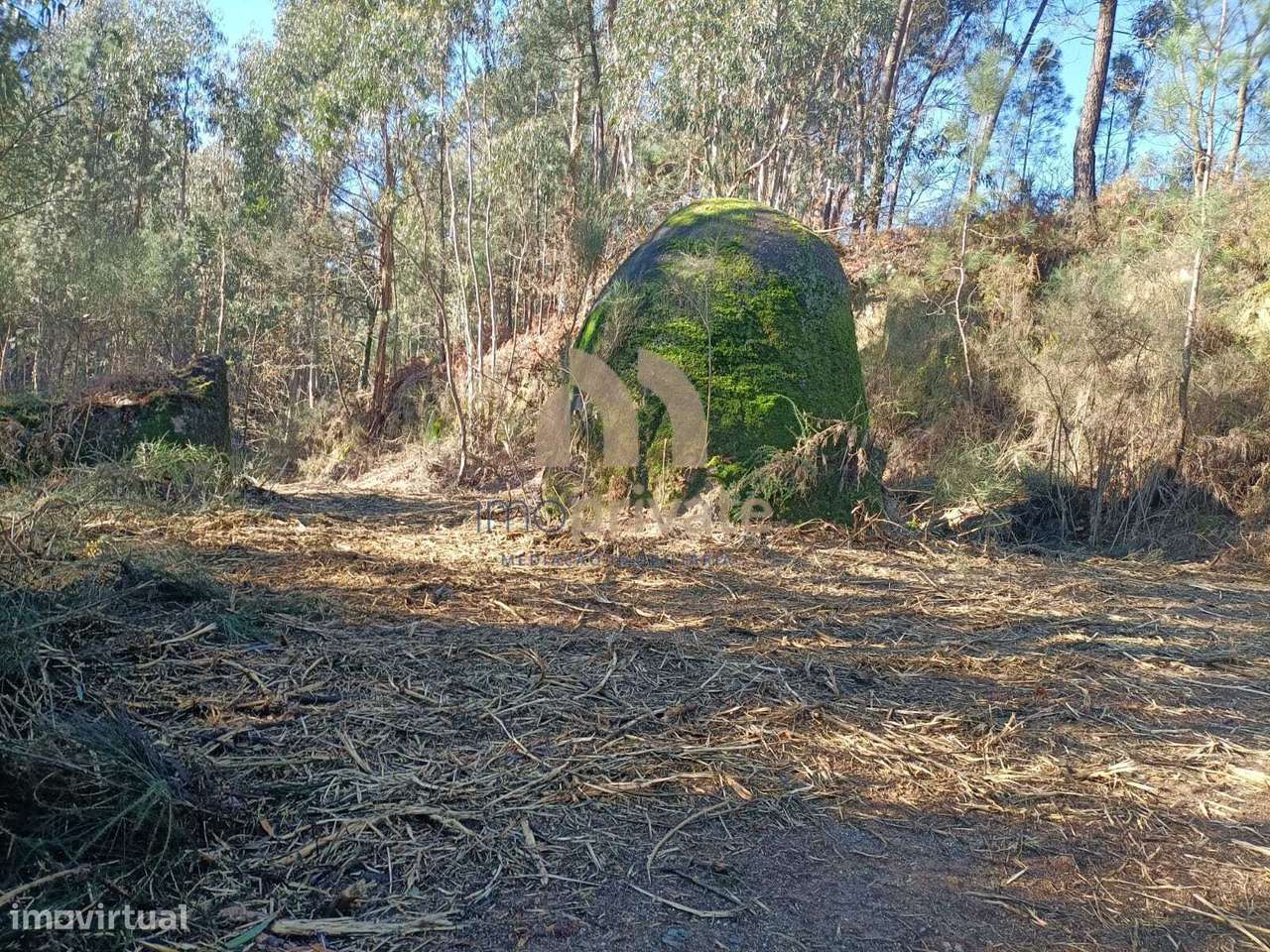 Terreno em Infantas, Guimarães-9