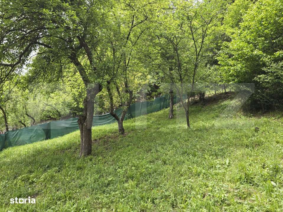 Casa renovabila din lemn, teren 830 mp - Imagine principală: 4/9