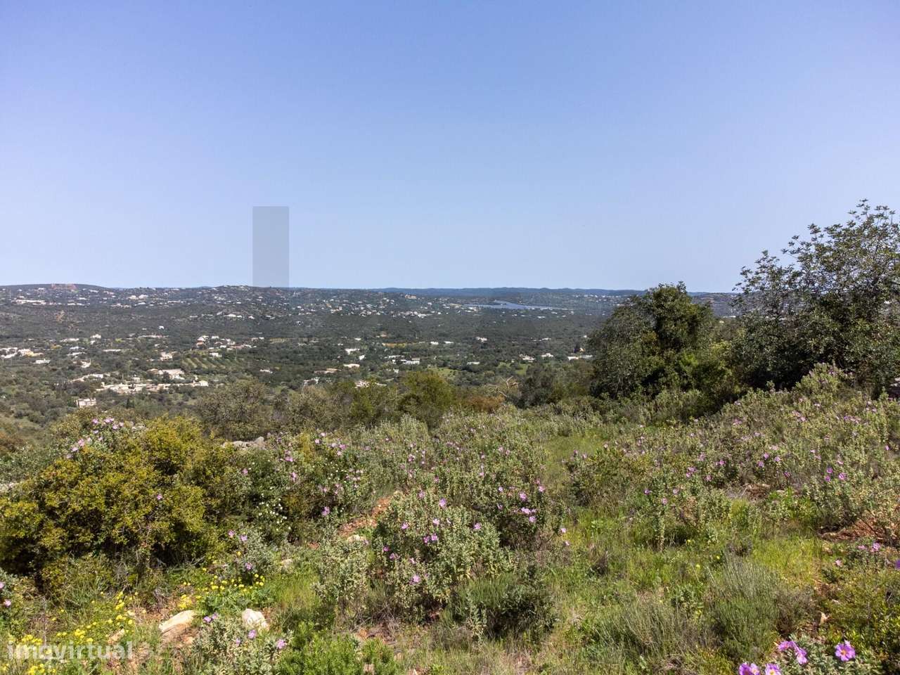 Terreno Rústico, Gorjões, Santa Bárbara de Nexe - Grande imagem: 5/16