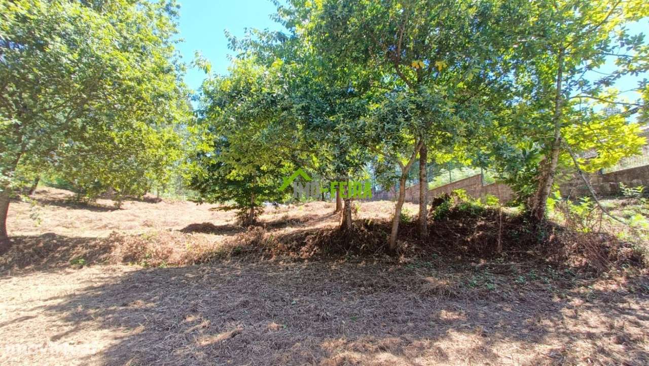 Terreno com projeto, Vale de Cambra - Grande imagem: 5/15