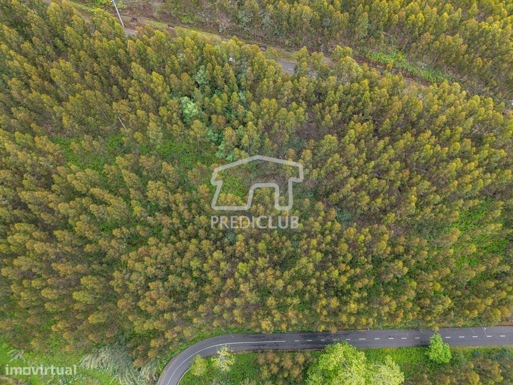 Terreno  889 m2 - Calheta - Grande imagem: 4/13