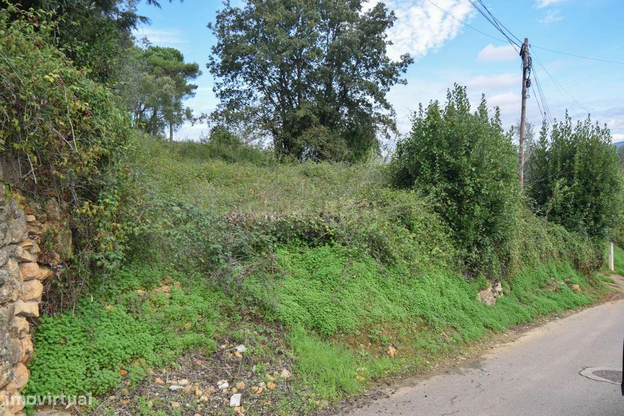 Terreno com projeto nos Carvalhais - Grande imagem: 4/6