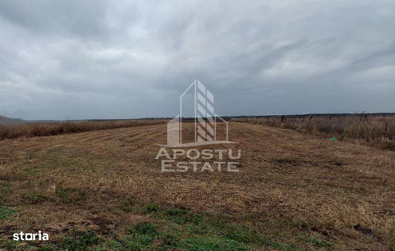 Teren Zadareni proiect spalatorie auto/spatii comerciale - Imagine principală: 5/8