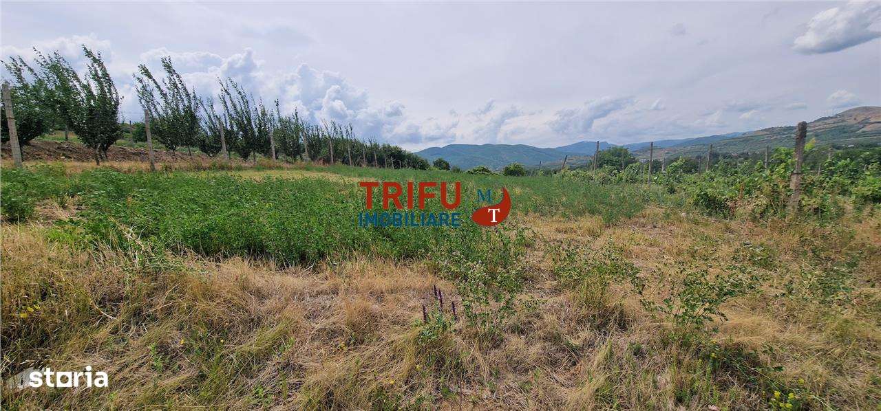 Teren extravilan 600 mp în Șard – perfect pentru proiecte viitoare - Imagine principală: 2/7