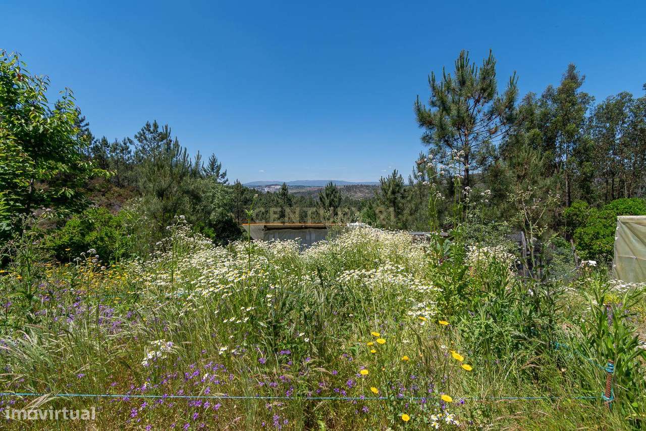 Viver de uma forma Ecológica em Terreno Panorâmico em Calde, Viseu-20