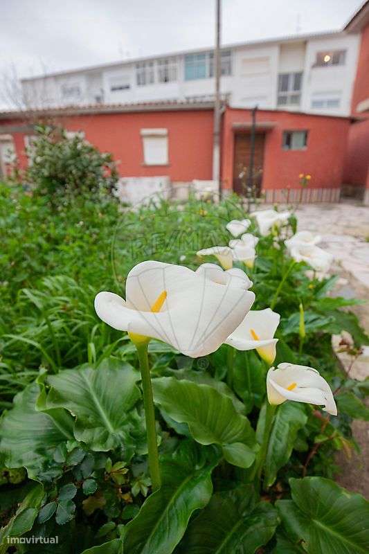 Moradia T8 para venda-47