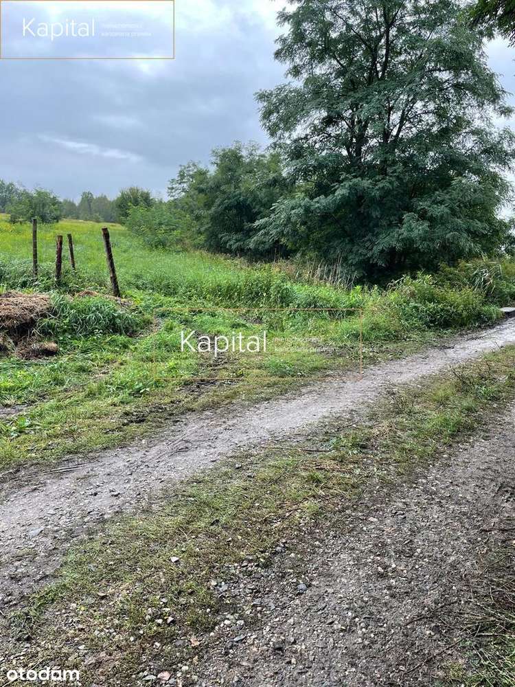 Działka | Marszowice Malownicze III | Budowlana | - Pełny obrazek: 4/6