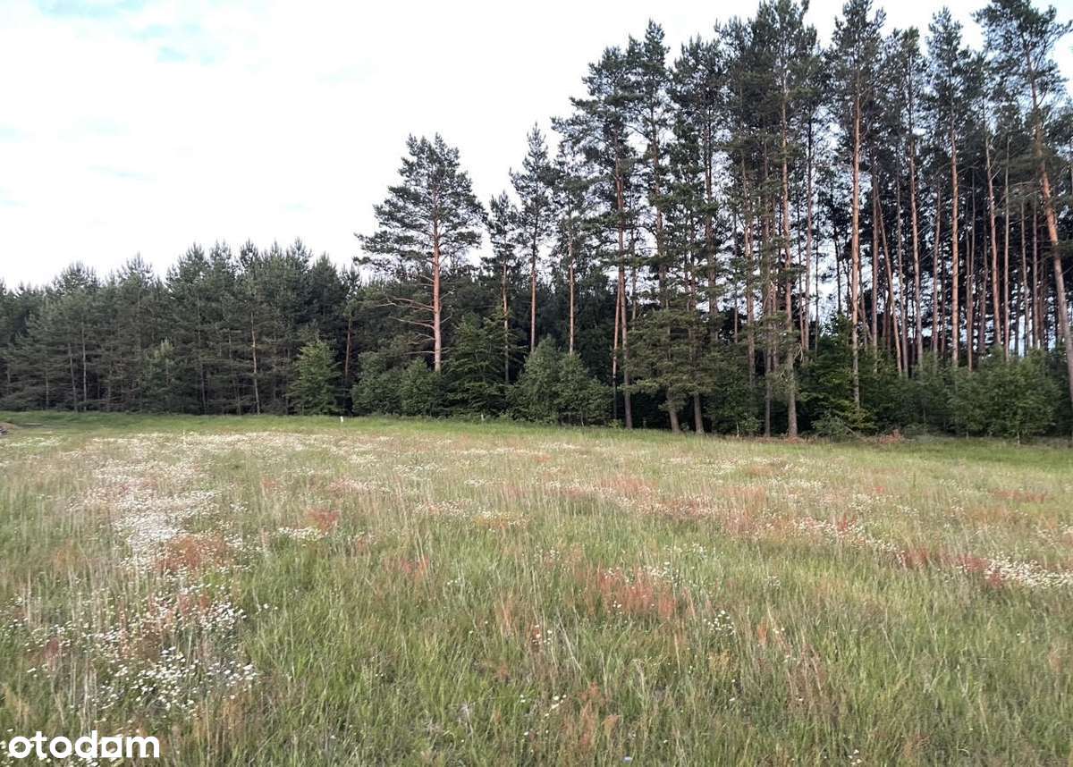 Niesołowice: Działka z pozwoleniem na budowę w pobliżu jeziora - Pełny obrazek: 4/17