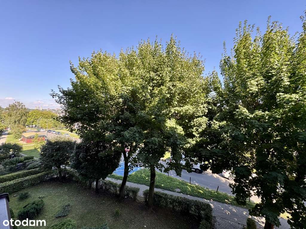 Przestronne 3 pokoje z balkonem Tychy Z. Paprocany-11