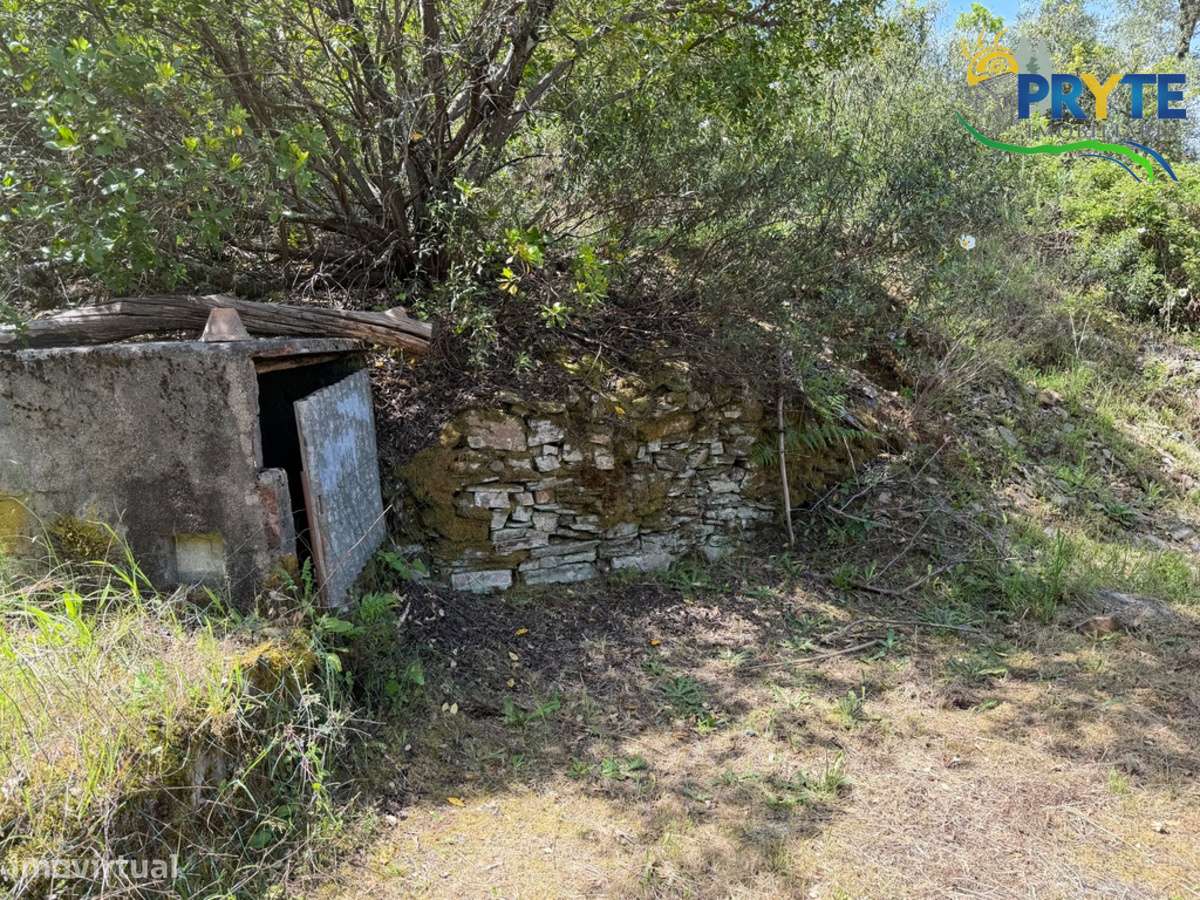 Terreno com uma ruína não registada a 6 quilómetros da Sertã-31
