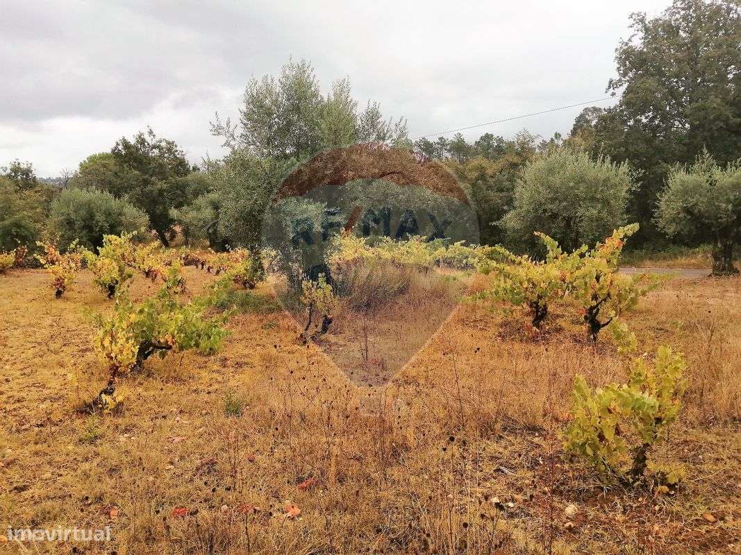 Terreno  para venda - Grande imagem: 5/6