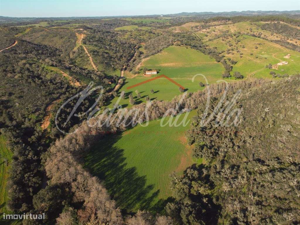 Monte Alentejano de 36ha com 3 ruinas - Pego das Pias - Odemira-19
