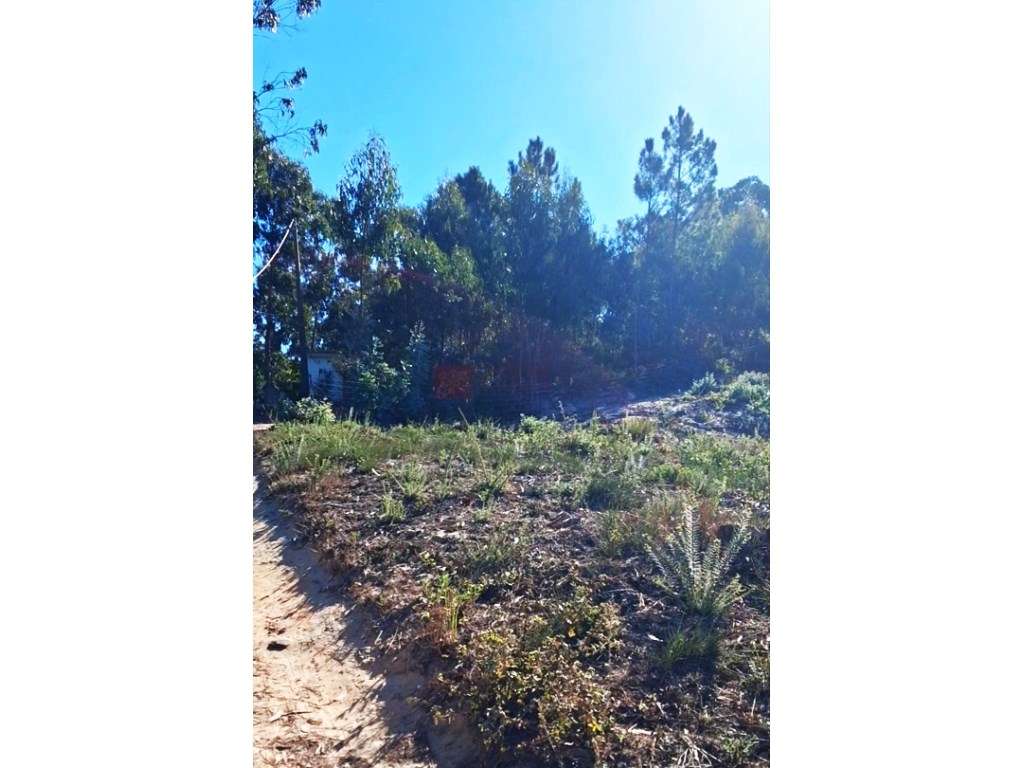 Mafra - Terreno para moradia com vista para vale-5