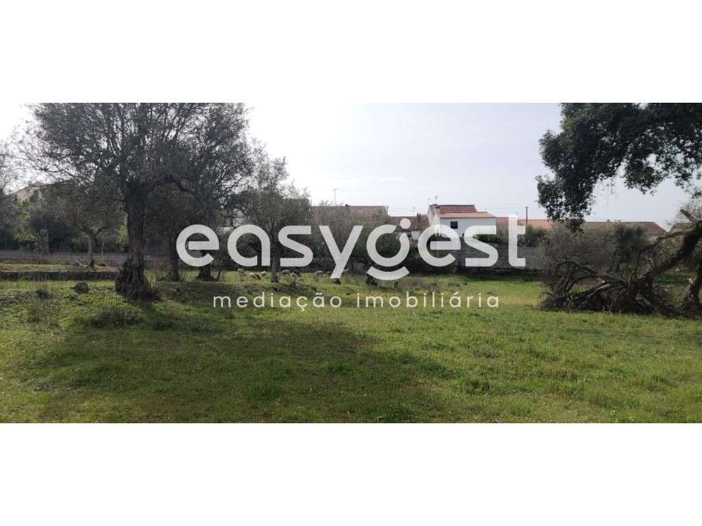 Terreno Rústico com viabilidade de construção e com projeto aprovado. - Grande imagem: 5/40