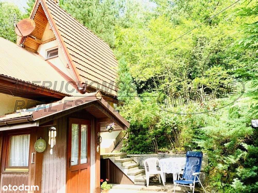 IWKOWA, kameralny dom całoroczny wśród zieleni - Pełny obrazek: 5/20