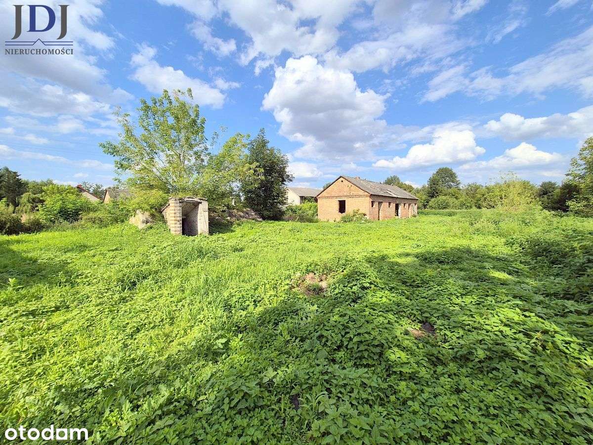 Okazja! Siedlisko blisko miasta.Moroczyn - Pełny obrazek: 5/15