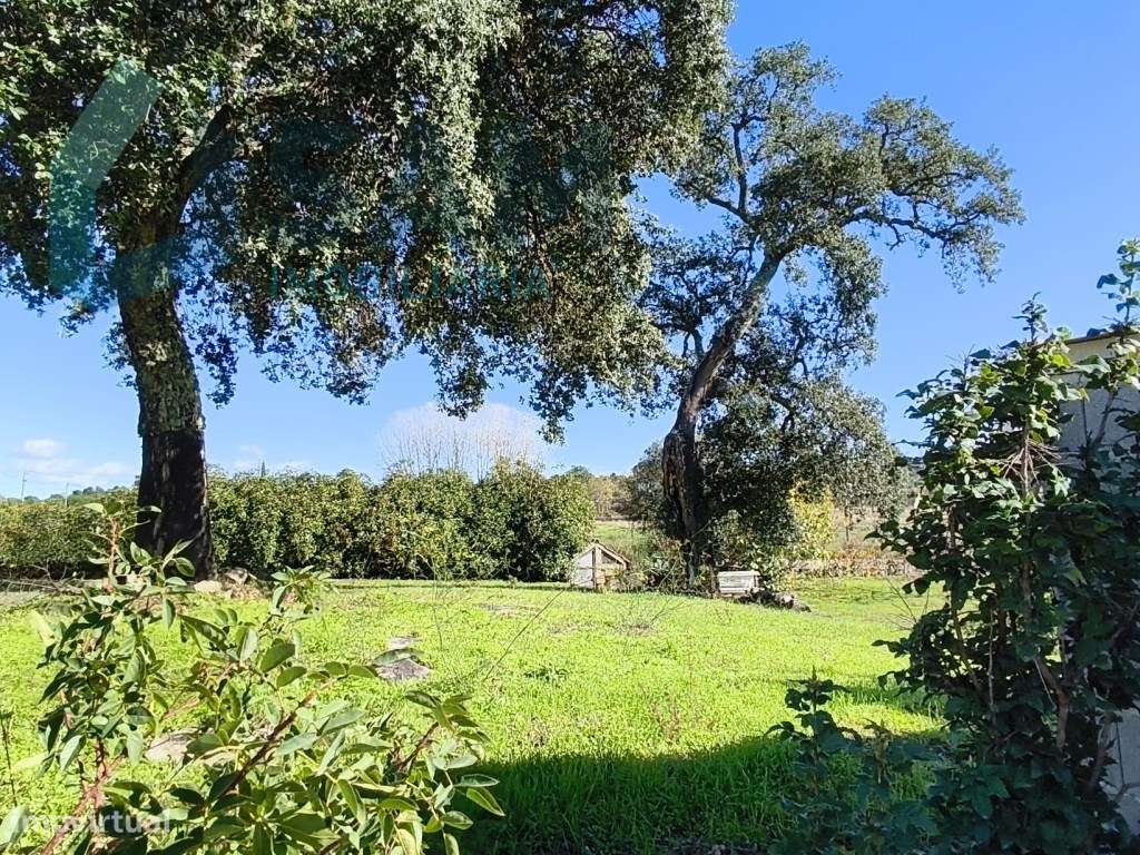 Herdade em Juncais - Fornos de Algodres, Guarda-1