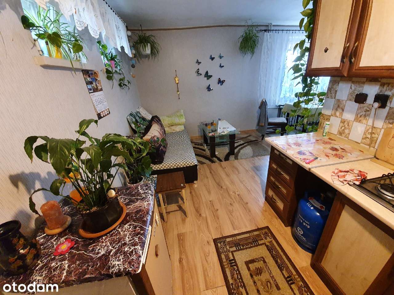 ***Duża Kawalerka***-2