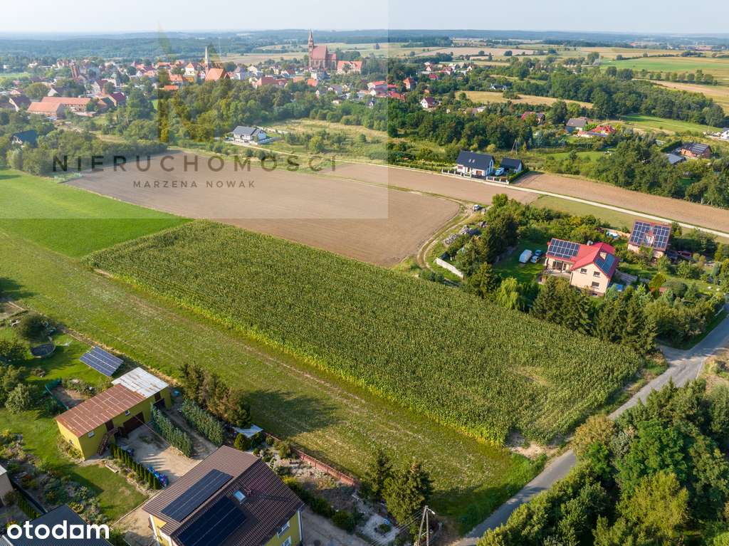 Działka budowlana w Wińsku, 5.200 m2 - Pełny obrazek: 5/15