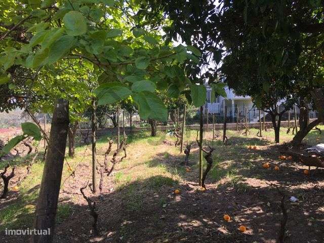 Casa com Terreno em Vilarinho de Cotas, Douro-38