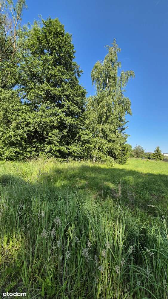 Działka Łazy 1194mkw-0