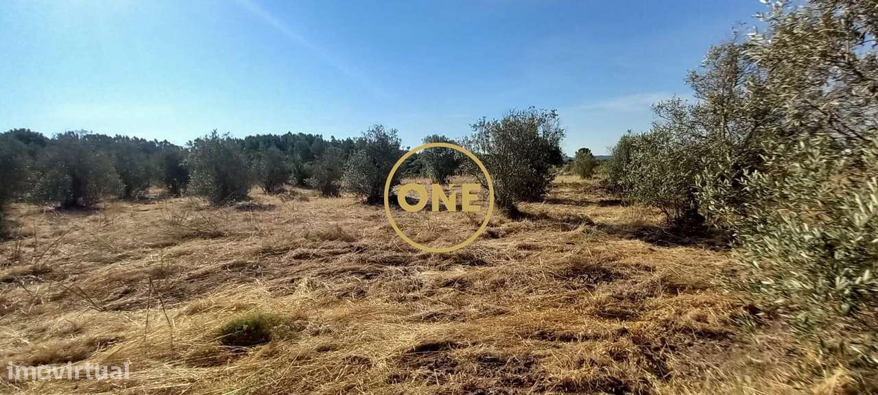 Terreno com 21.960 m2 e viabilidade construtiva | Vila Nova da Barquin-12