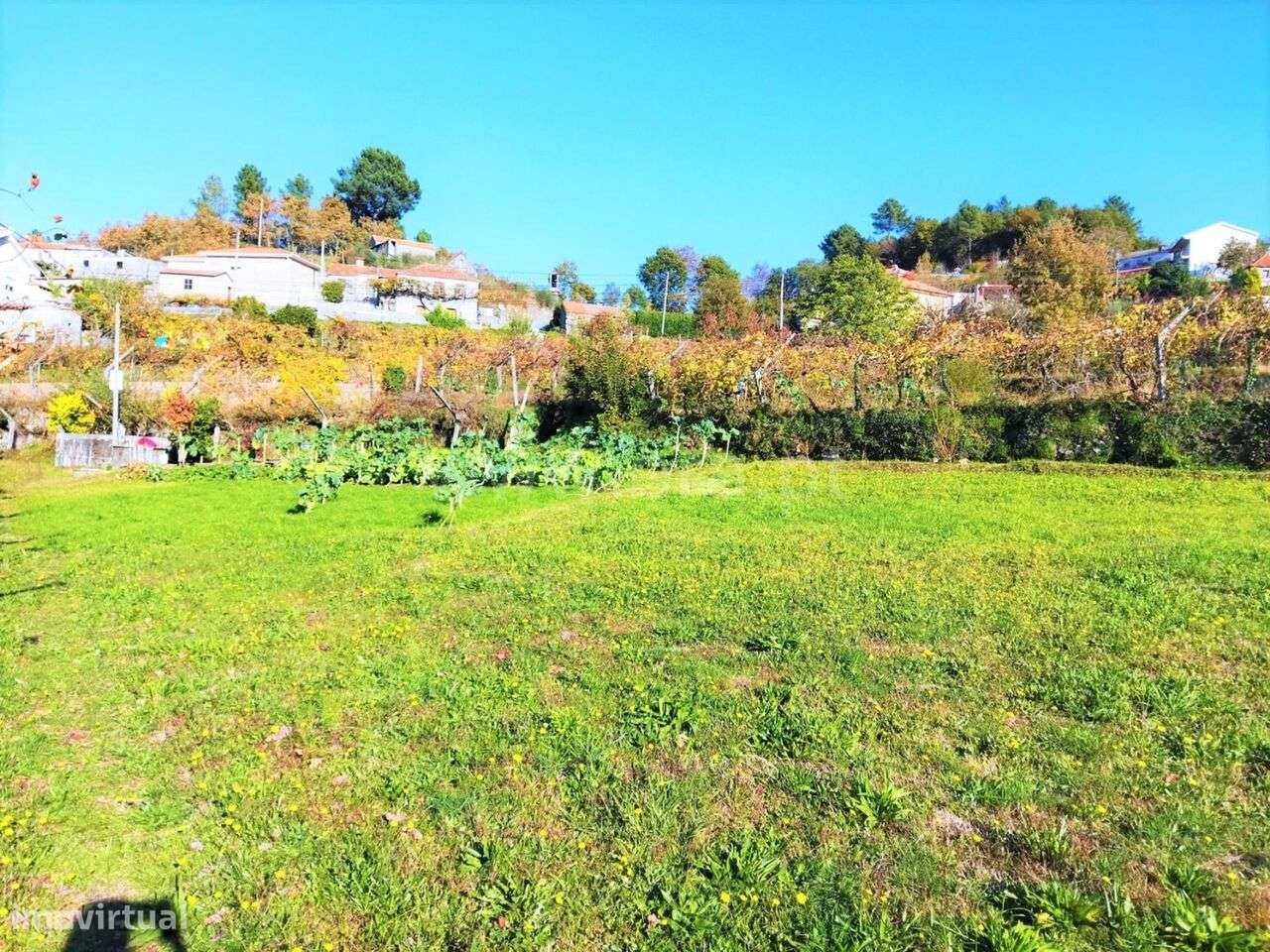 Terreno / Baião, Campelo e Ovil - Grande imagem: 2/2