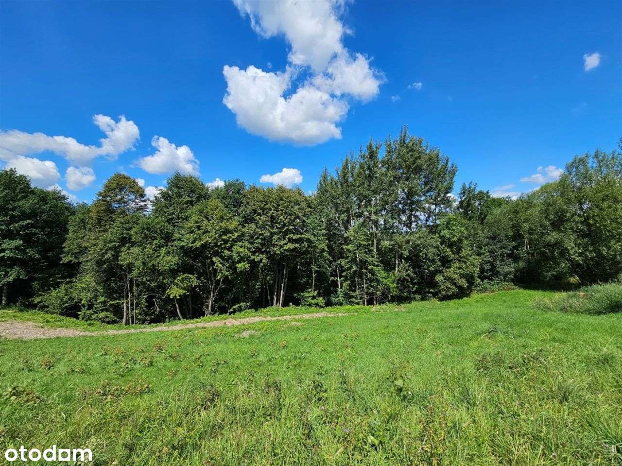 Działka budowlana 8 arów w spokojnym miejscu.-4