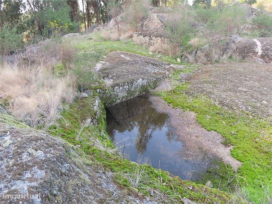 Quinta  para venda - Grande imagem: 4/41